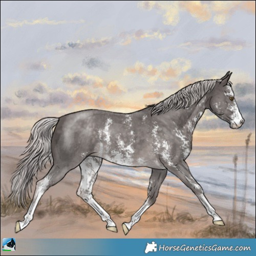 Horse Color:Platinum Chocolate Palomino Sabino 