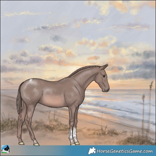 Horse Color:Platinum Chestnut Tobiano Rabicano 