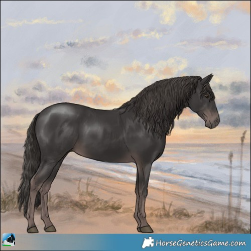 Horse Color:Platinum Liver Chestnut Rabicano 