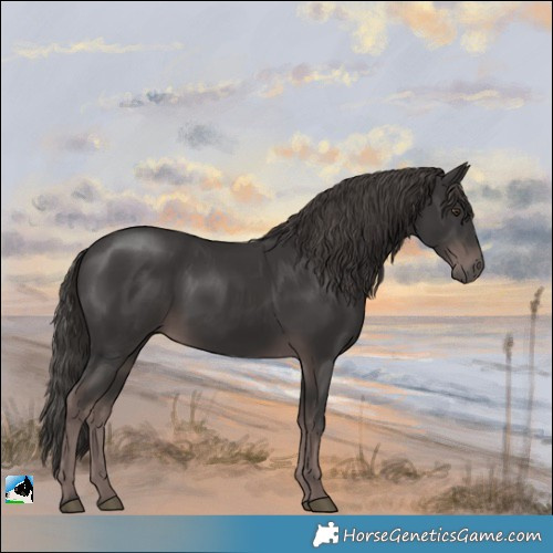 Horse Color:Platinum Liver Chestnut Rabicano 