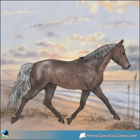 Horse Color:Platinum Silver Brown Rabicano 