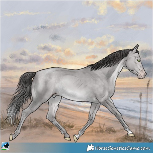 Horse Color:Platinum Sable Cream Champagne Rabicano 