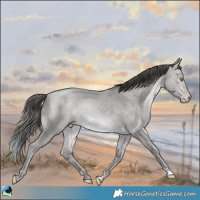 Horse Color:Platinum Sable Cream Champagne Rabicano