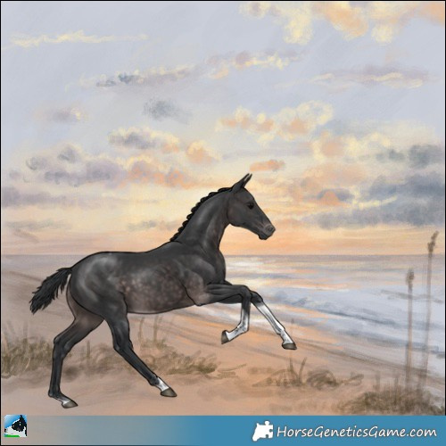 Horse Color:Platinum Brown Tobiano Rabicano 