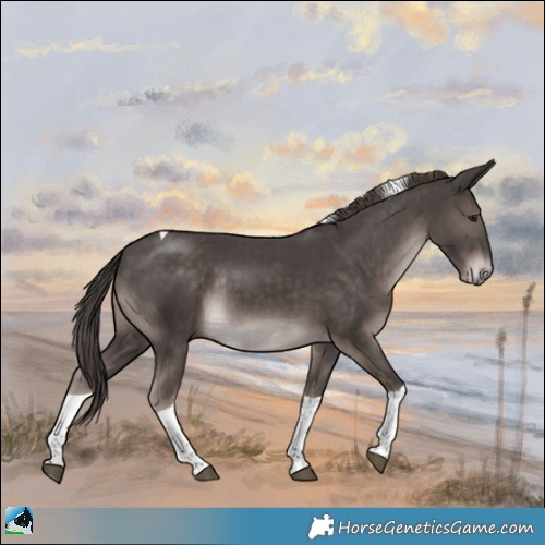 Horse Color:Platinum Liver Chestnut Tobiano Rabicano