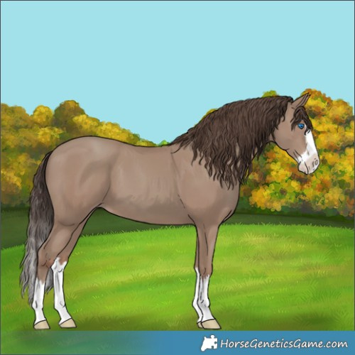 Horse Color:Classic Champagne Splash 