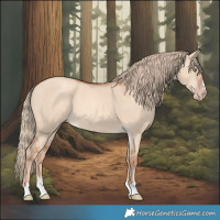 Horse Color:Gold Champagne Dun