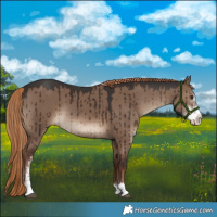 Horse Color:Liver Red Dun Sabino Brindle