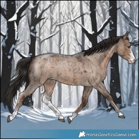 Horse Color:Liver Red Dun Roan Sabino Brindle 