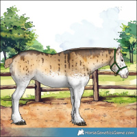 Horse Color:White Spotted Chocolate Palomino Onyx Rabicano Brindle 
