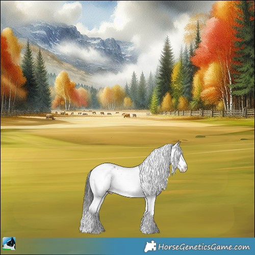 Horse Color:Black Ice Sabino Rabicano 
