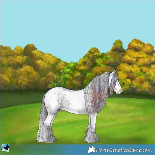 Horse Color:Nacre White Spotted Brown Ice Sabino Splash 