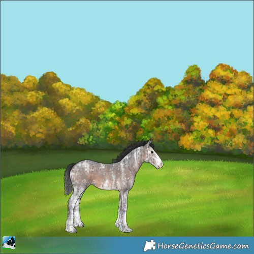 Horse Color:White Spotted Brown Ice 