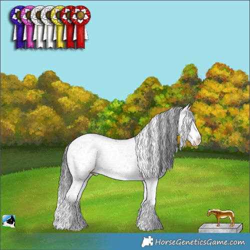 Horse Color:White Spotted Brown Dun Sabino Rabicano 