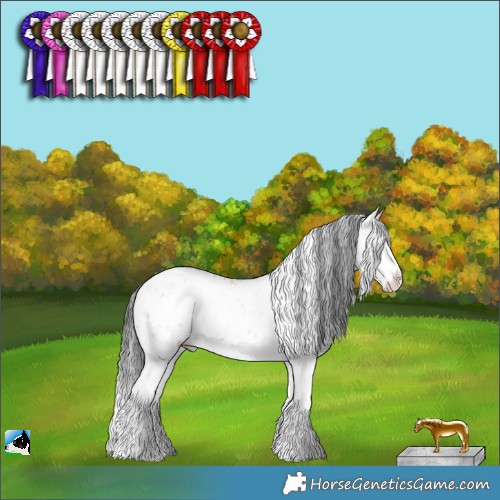 Horse Color:White Spotted Brown Dun Sabino Rabicano 