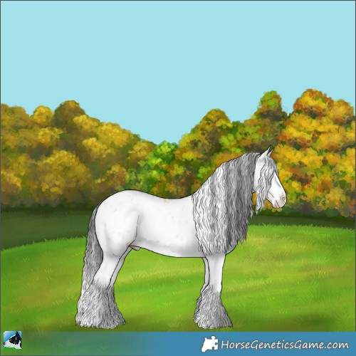 Horse Color:White Spotted Brown Dun Sabino Rabicano 