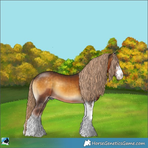 Horse Color:Chocolate Palomino Onyx Sabino 