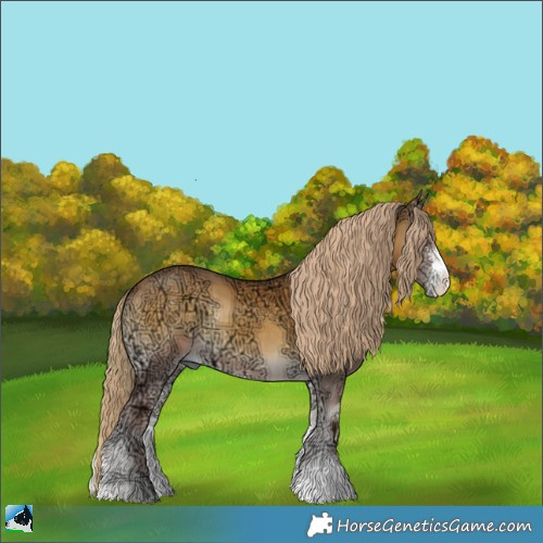 Horse Color:Chocolate Palomino Ice Onyx Sabino Rabicano 