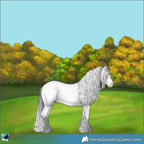Horse Color:Buckskin Onyx Sabino Rabicano 