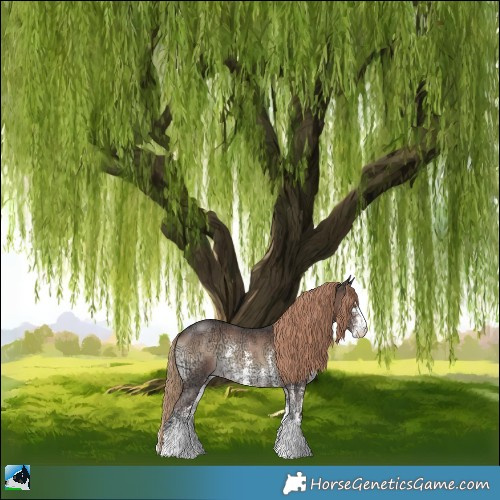 Horse Color:Liver Red Onyx Ice Sabino Rabicano 