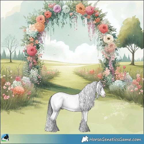 Horse Color:Brown Ice Sabino Rabicano 