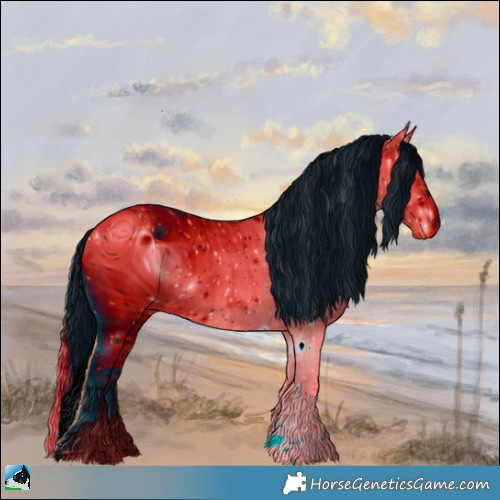 Horse Color:ERROR: UNKNOWN ANOMALY