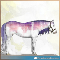 Horse Color:Watercolor Plaid White Spotted Liver Red Onyx Splash