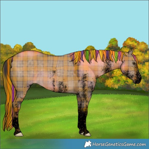 Horse Color:Void Painted Plaid  White Spotted Liver Red Dun 