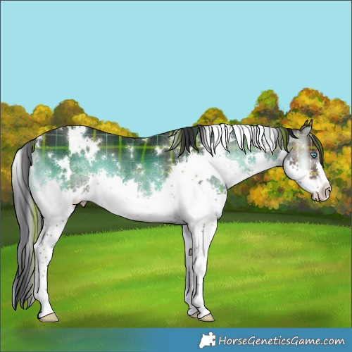 Horse Color:Plaid  White Spotted Liver Red Onyx Splash 