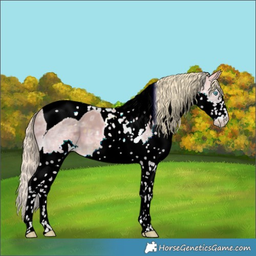 Horse Color:Watercolor Chocolate Palomino Ice Dun Splash Tobiano 