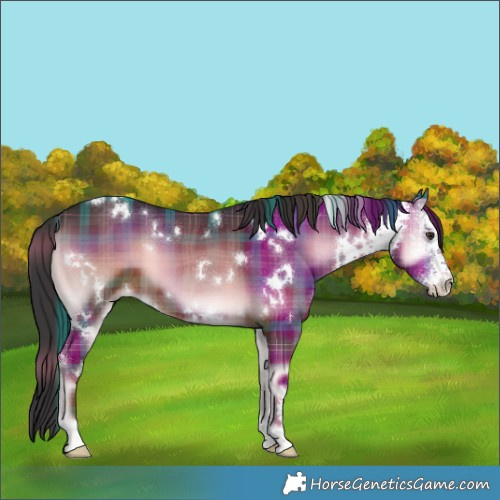Horse Color:Plaid  White Spotted Liver Red Onyx Sabino 