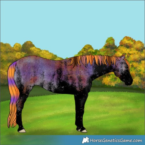 Horse Color:Void Watercolor Plaid  White Spotted Liver Red Onyx 