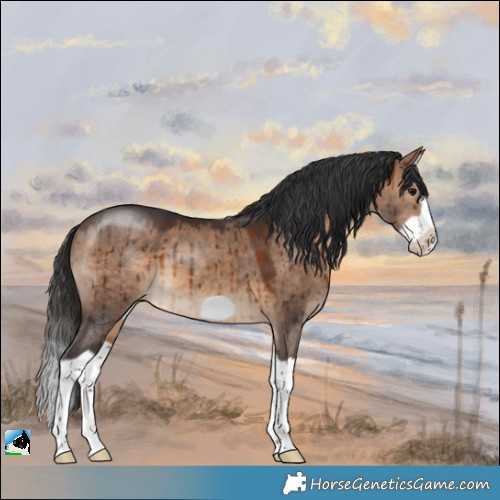 Horse Color:Brown Dun Splash Frame Brindle