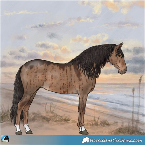 Horse Color:Liver Red Dun Brindle 