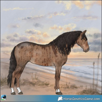 Horse Color:Liver Red Dun Brindle