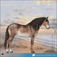 Horse Color:Liver Red Dun Brindle 