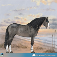 Horse Color:Grullo Mushroom Splash Rabicano Brindle