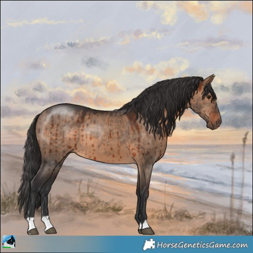Horse Color:Brown Dun Brindle 