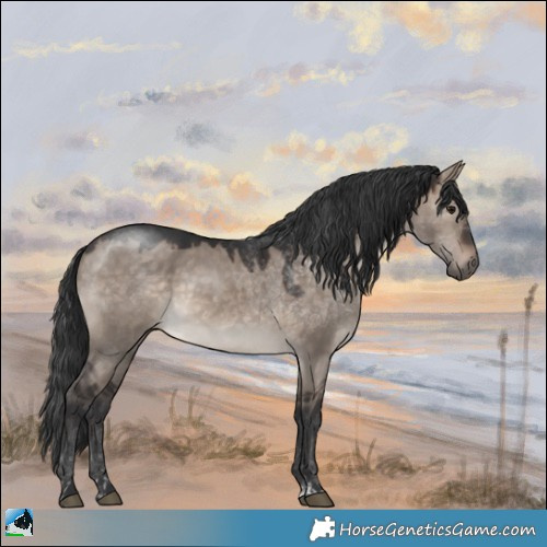 Horse Color:Brown Dun Mushroom Rabicano 