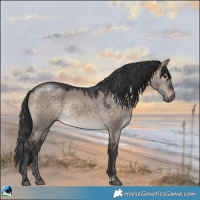 Horse Color:Brown Dun Mushroom Rabicano