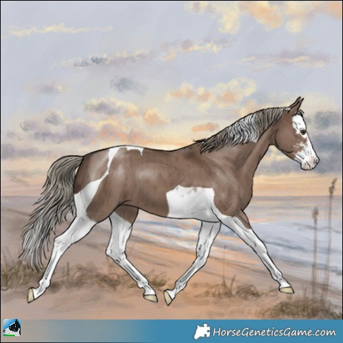 Horse Color:Liver Red Dun Mushroom Sabino Splash Tobiano Brindle