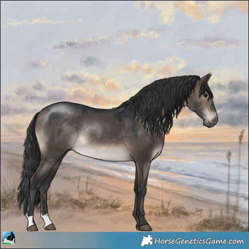 Horse Color:Brown Dun Mushroom Rabicano 