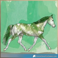 Horse Color:Watercolor White Spotted Liver Red Onyx Tobiano Rabicano