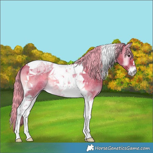 Horse Color:Watercolor Chocolate Palomino Roan Onyx Tobiano 