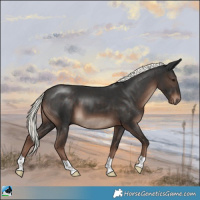 Horse Color:Liver Chestnut Mushroom 