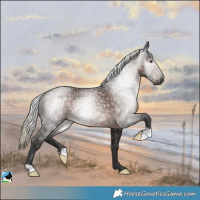 Horse Color:Gray Liver Chestnut Mushroom Rabicano 