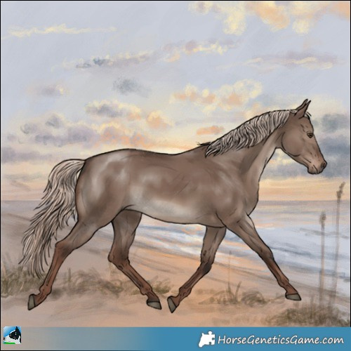 Horse Color:Liver Red Dun Mushroom Rabicano