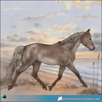 Horse Color:Liver Red Dun Mushroom Rabicano 