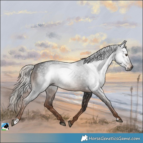 Horse Color:Gray Liver Chestnut Mushroom 