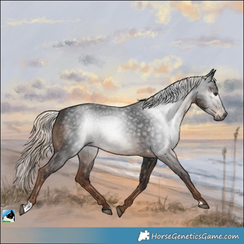 Horse Color:Gray Liver Chestnut Mushroom